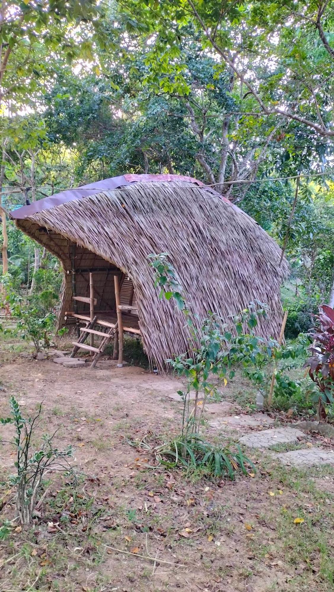 Erlittop Nature Lodge エルニド エクステリア 写真