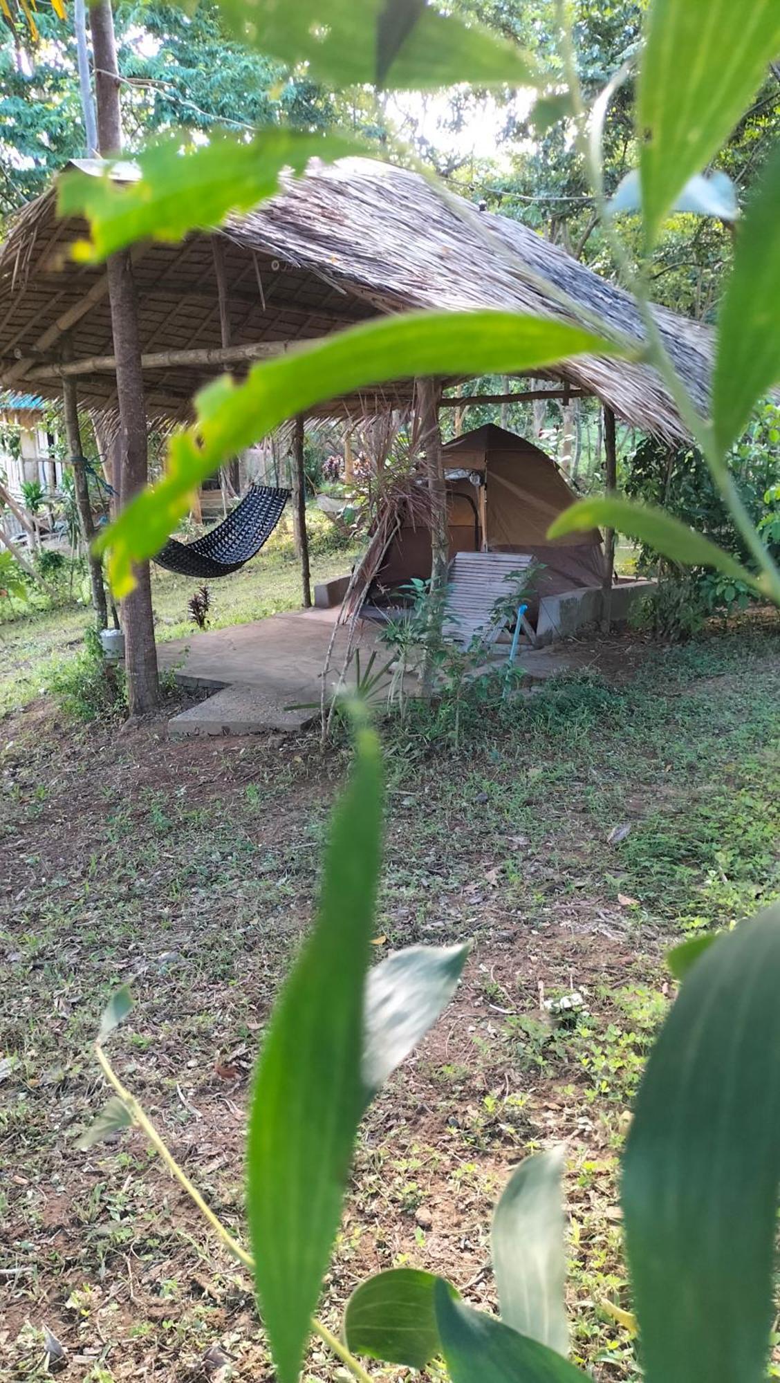 Erlittop Nature Lodge エルニド エクステリア 写真