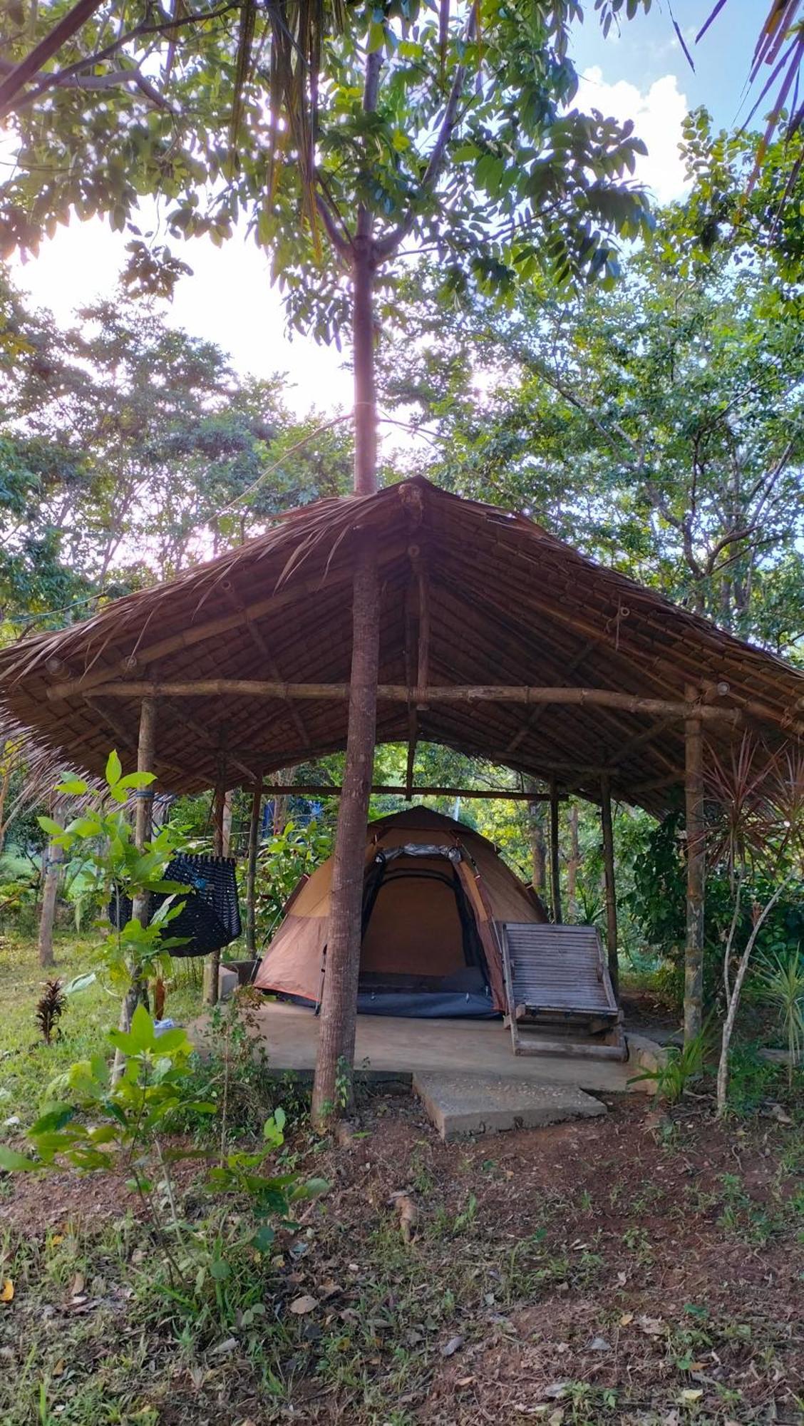 Erlittop Nature Lodge エルニド エクステリア 写真