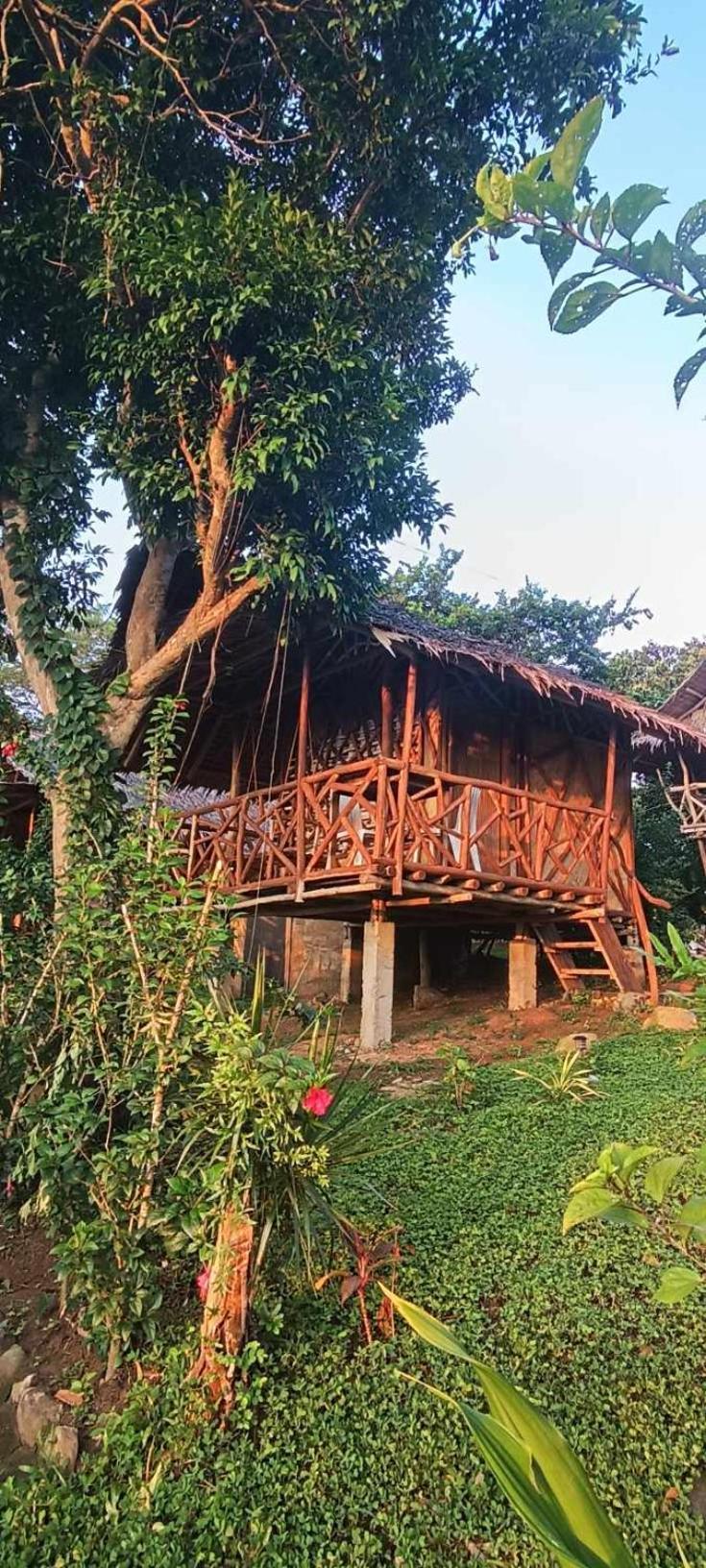 Erlittop Nature Lodge エルニド エクステリア 写真