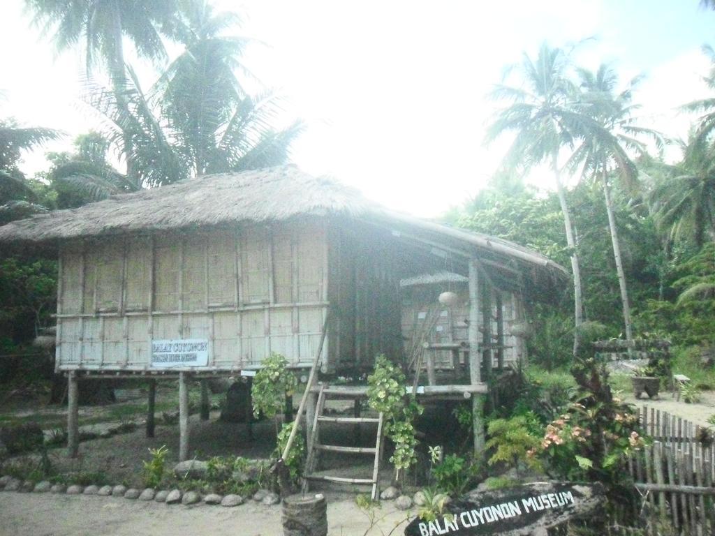 Erlittop Nature Lodge エルニド エクステリア 写真